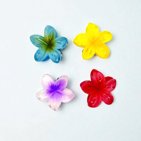 Translucent Flower Hair Clips (Set of 4)