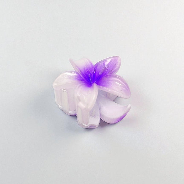 Translucent Flower Hair Clips (Set of 4)