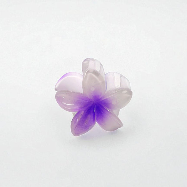 Translucent Flower Hair Clips (Set of 4)